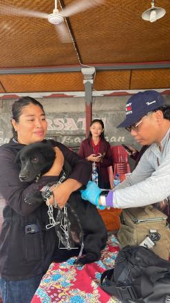 Desa Dencarik Laksanakan Vaksinasi Anjing untuk Antisipasi Penyebaran Rabies